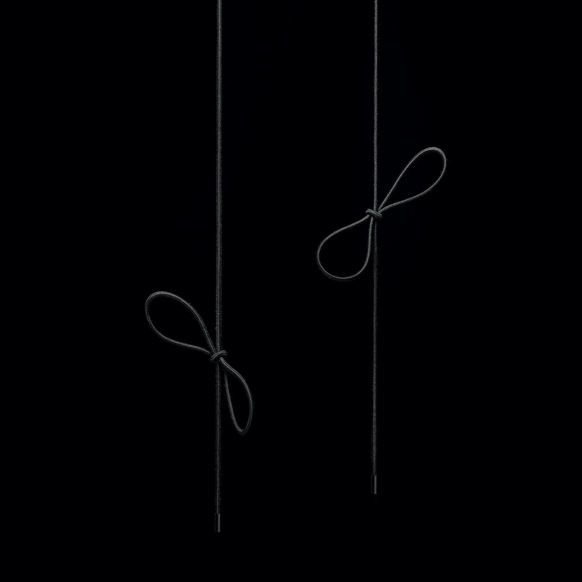 elastic shoelaces