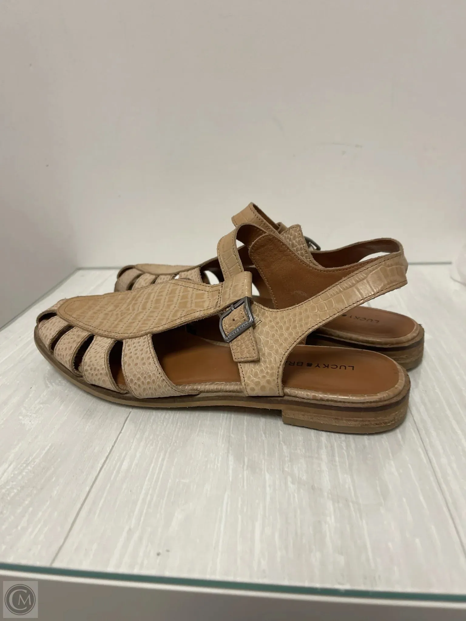 Sandals Flats By Lucky Brand  Size: 9.5